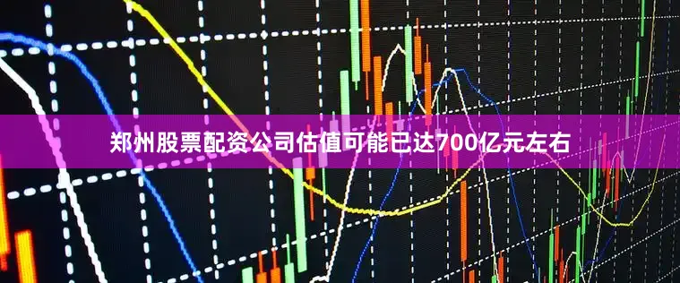 郑州股票配资公司估值可能已达700亿元左右