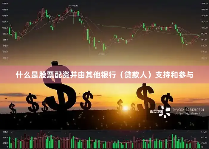 什么是股票配资并由其他银行（贷款人）支持和参与